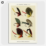 1-3_Favorite-Flies-and-Their-History_picture-crop
