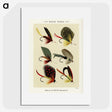 1-3_Favorite-Flies-and-Their-History_picture