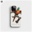 1-3_Francois-Levaillant_phone