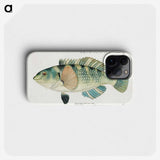 1-3_Frank-Edward-Clarke_phone