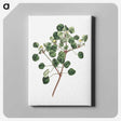 1-3_Fransis-Sansom_canvas