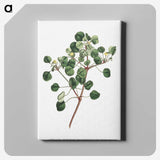 1-3_Fransis-Sansom_canvas