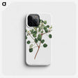 1-3_Fransis-Sansom_phone