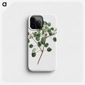 1-3_Fransis-Sansom_phone