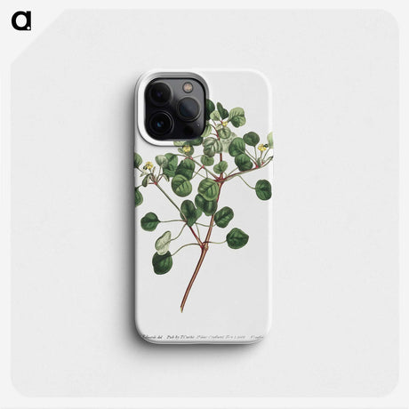 1-3_Fransis-Sansom_phone