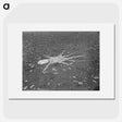 1-3_Frederick-Charles-Brockett_picture