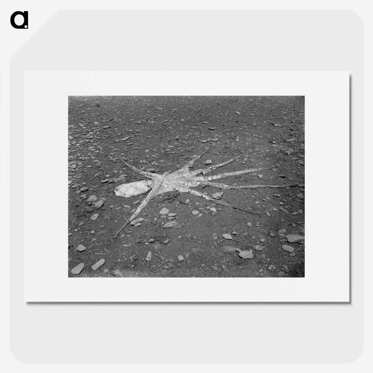 1-3_Frederick-Charles-Brockett_picture