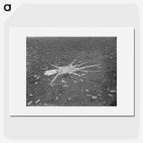 1-3_Frederick-Charles-Brockett_picture