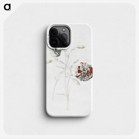 1-3_Georg-Dionysius-Ehret_phone