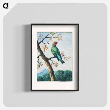 Bird Study
 - ジョージ エドワーズ Poster.