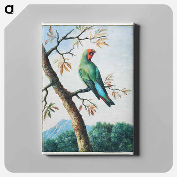 Bird Study
 - ジョージ エドワーズ Canvas.