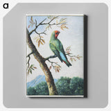 1-3_George-Edwards_canvas