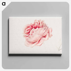 アートパネル-Red Rose
 - ジョージアス ヤコブス ヨハネス ファン オス Canvas.