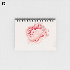 アートメモ帳-Red Rose
 - ジョージアス ヤコブス ヨハネス ファン オス Memo.