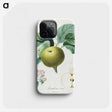 1-3_Henri-Louis-Duhamel-du-Monceau_phone