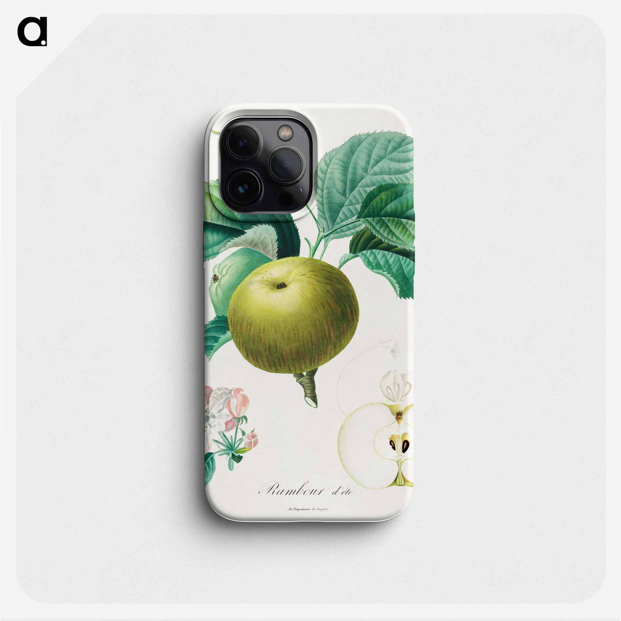 Rambour d'été - アンリ ルイ デュアメル デュ モンソー Phone Case.