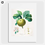 Rambour d'été - アンリ ルイ デュアメル デュ モンソー Poster.