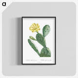 1-3_Histoire-des-Plantes-Grasses_blk-crop