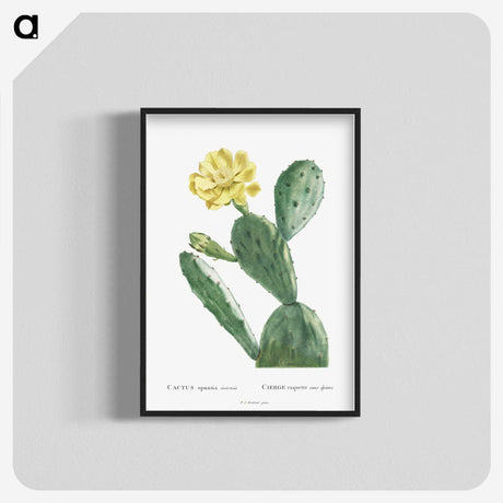 1-3_Histoire-des-Plantes-Grasses_blk-crop