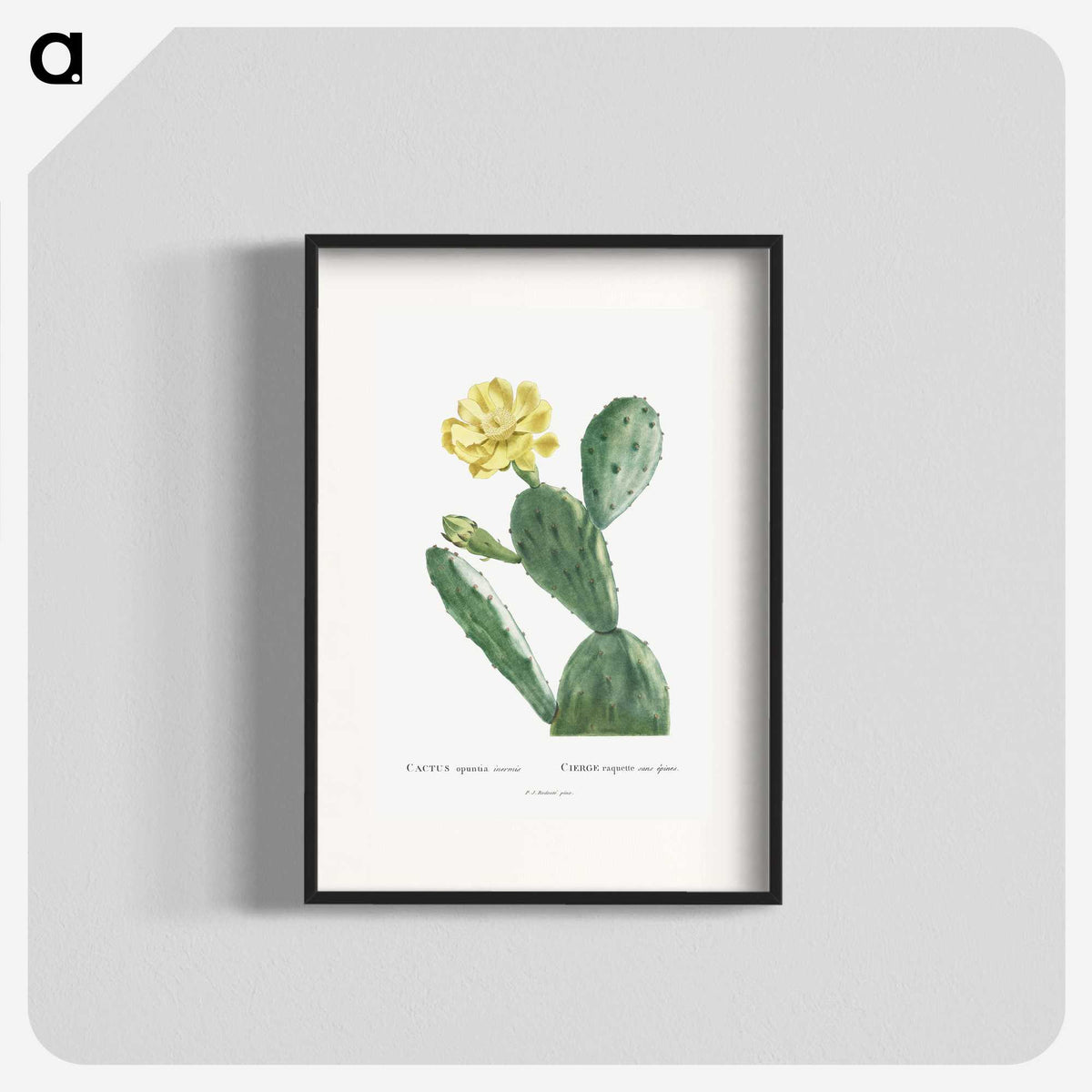 1-3_Histoire-des-Plantes-Grasses_blk