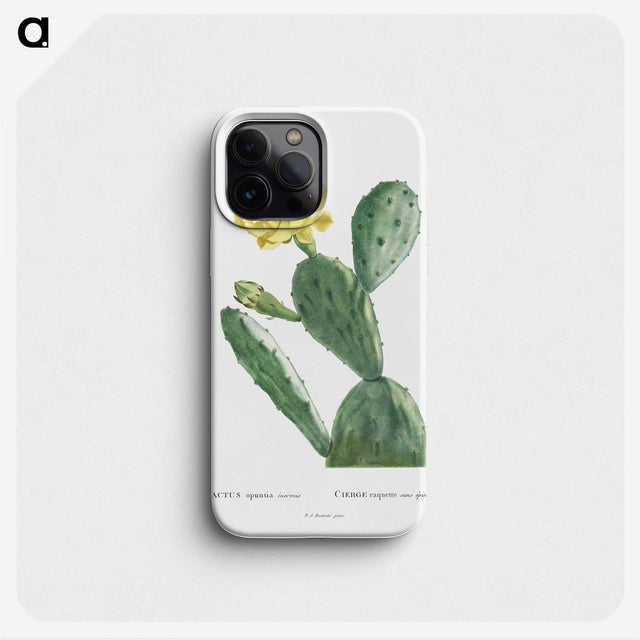 1-3_Histoire-des-Plantes-Grasses_phone