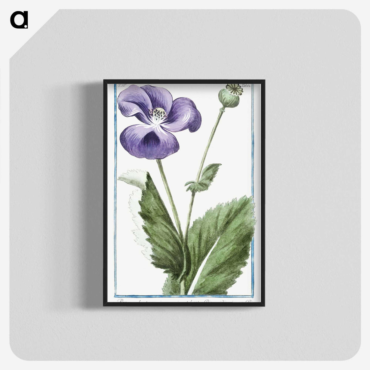 1-3_Hortus-Romanus-Botanical-Plates_blk-crop