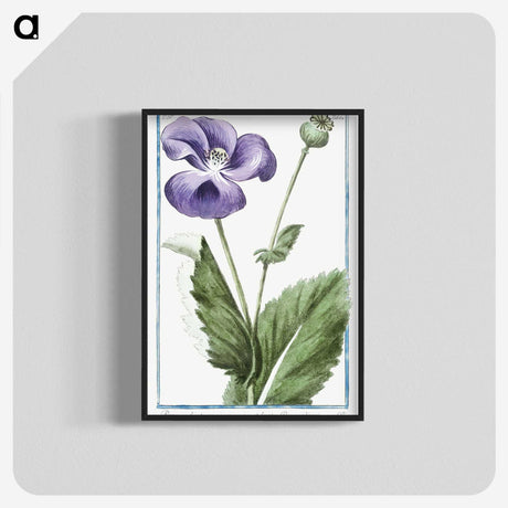 1-3_Hortus-Romanus-Botanical-Plates_blk-crop