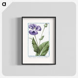 1-3_Hortus-Romanus-Botanical-Plates_blk