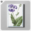 1-3_Hortus-Romanus-Botanical-Plates_canvas