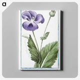 1-3_Hortus-Romanus-Botanical-Plates_canvas