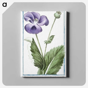 1-3_Hortus-Romanus-Botanical-Plates_canvas
