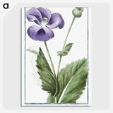 1-3_Hortus-Romanus-Botanical-Plates_picture-crop