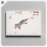 1-3_Hu-Zhengyan_canvas