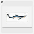 1-3_Ichtyologie-ou-Histoire-naturelle_picture