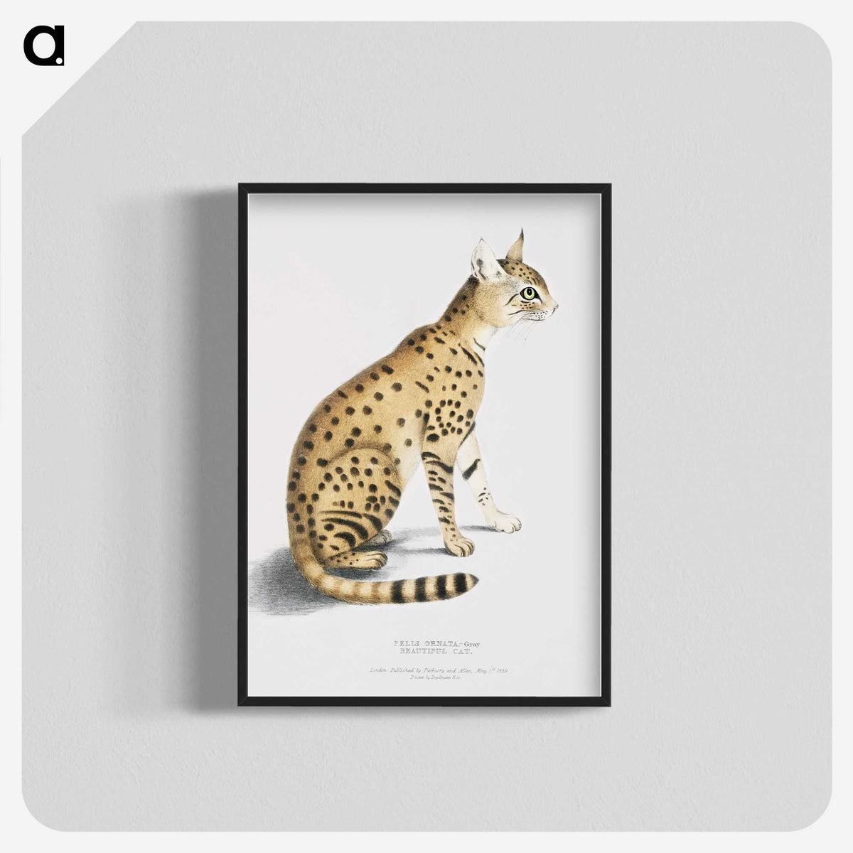 1-3_Indian-Zoology_blk-crop