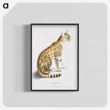 1-3_Indian-Zoology_blk-crop