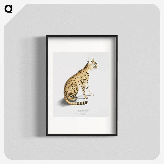 1-3_Indian-Zoology_blk