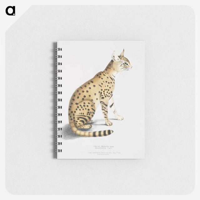 1-3_Indian-Zoology_memo