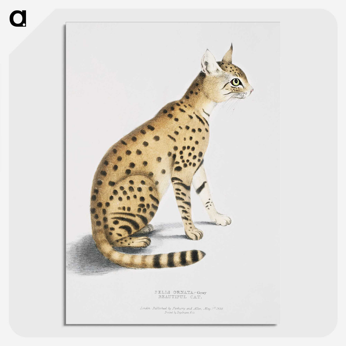 1-3_Indian-Zoology_picture-crop