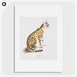 1-3_Indian-Zoology_picture