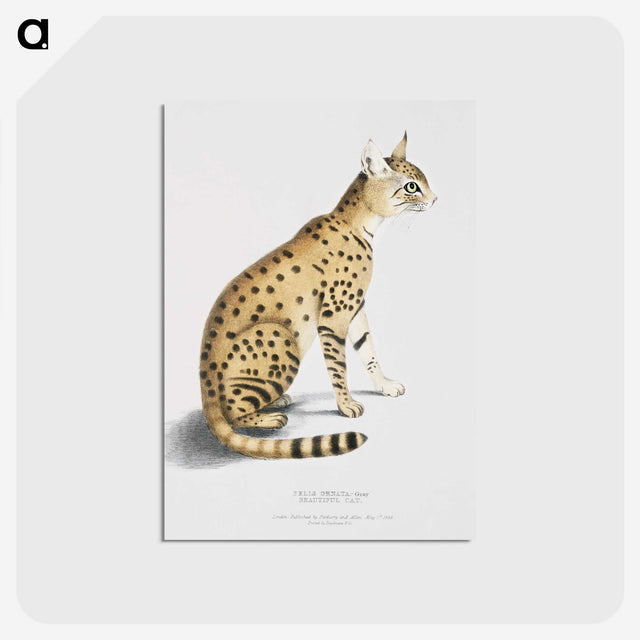 1-3_Indian-Zoology_postcard
