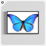 1-3_Insects-Unlocked-Project_blk-crop