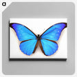 1-3_Insects-Unlocked-Project_canvas
