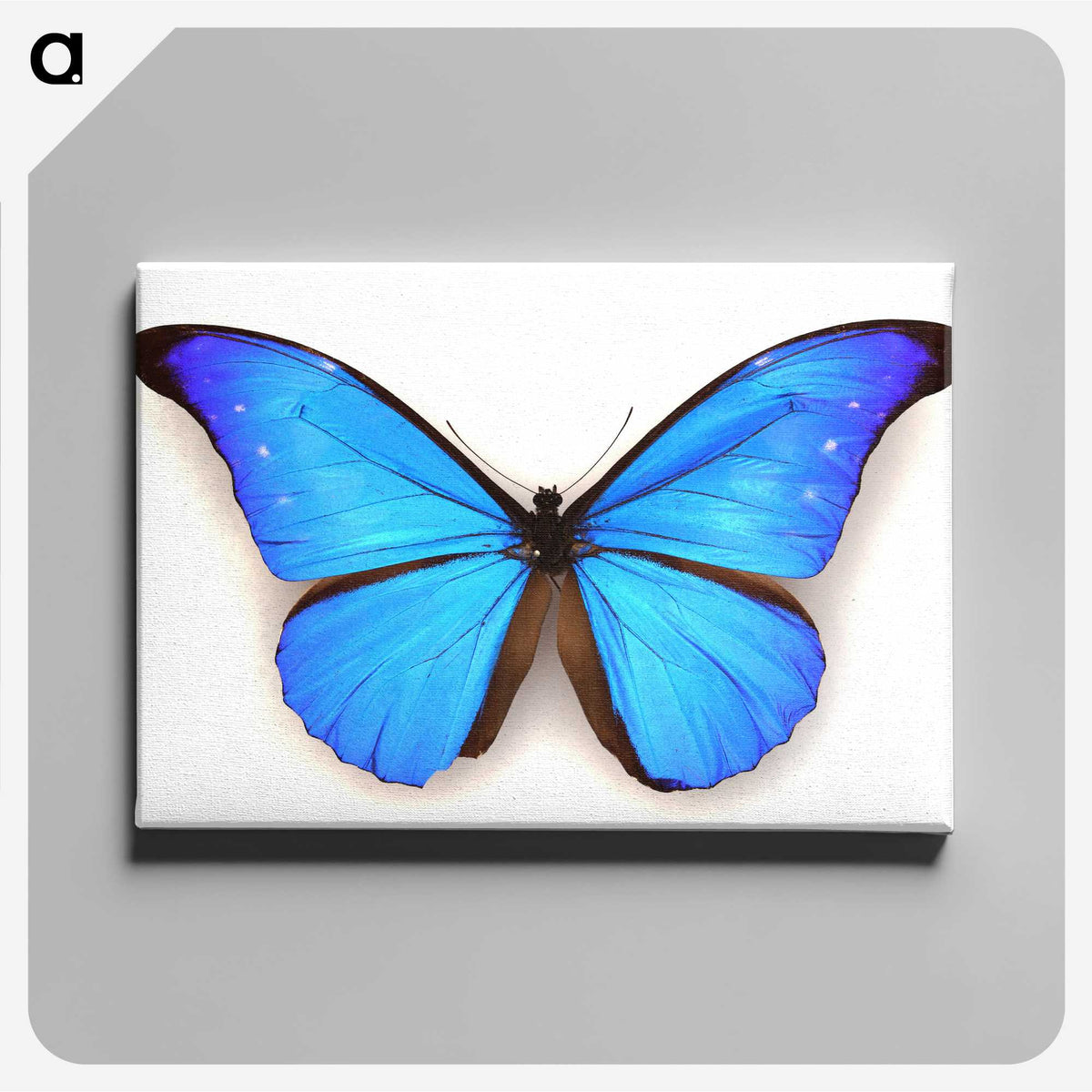1-3_Insects-Unlocked-Project_canvas