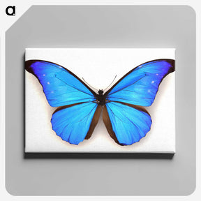 1-3_Insects-Unlocked-Project_canvas