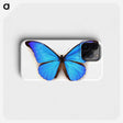 1-3_Insects-Unlocked-Project_phone