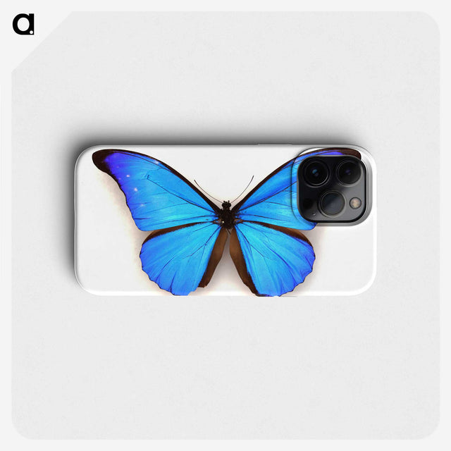 1-3_Insects-Unlocked-Project_phone