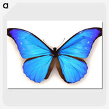 1-3_Insects-Unlocked-Project_picture-crop