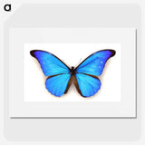 1-3_Insects-Unlocked-Project_picture