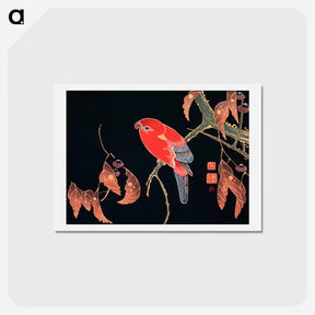 アートポストカード-Red Parrot on the Branch of a Tree
 - 伊藤若冲 Postcard.